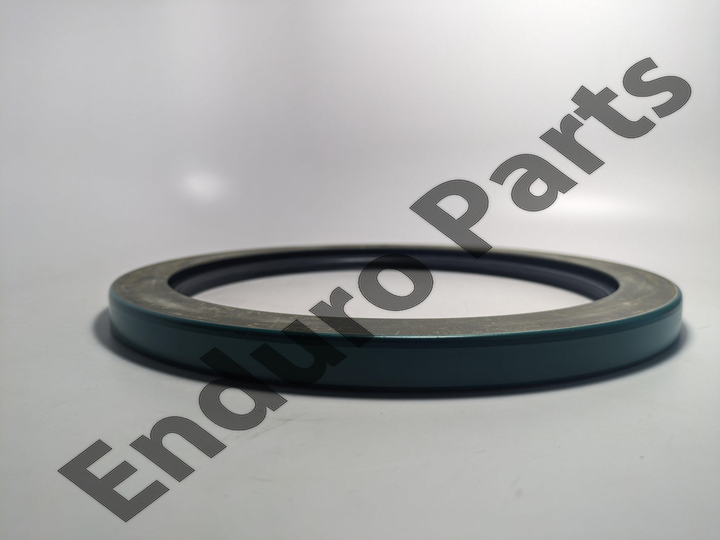 Case 291832R1 Seal