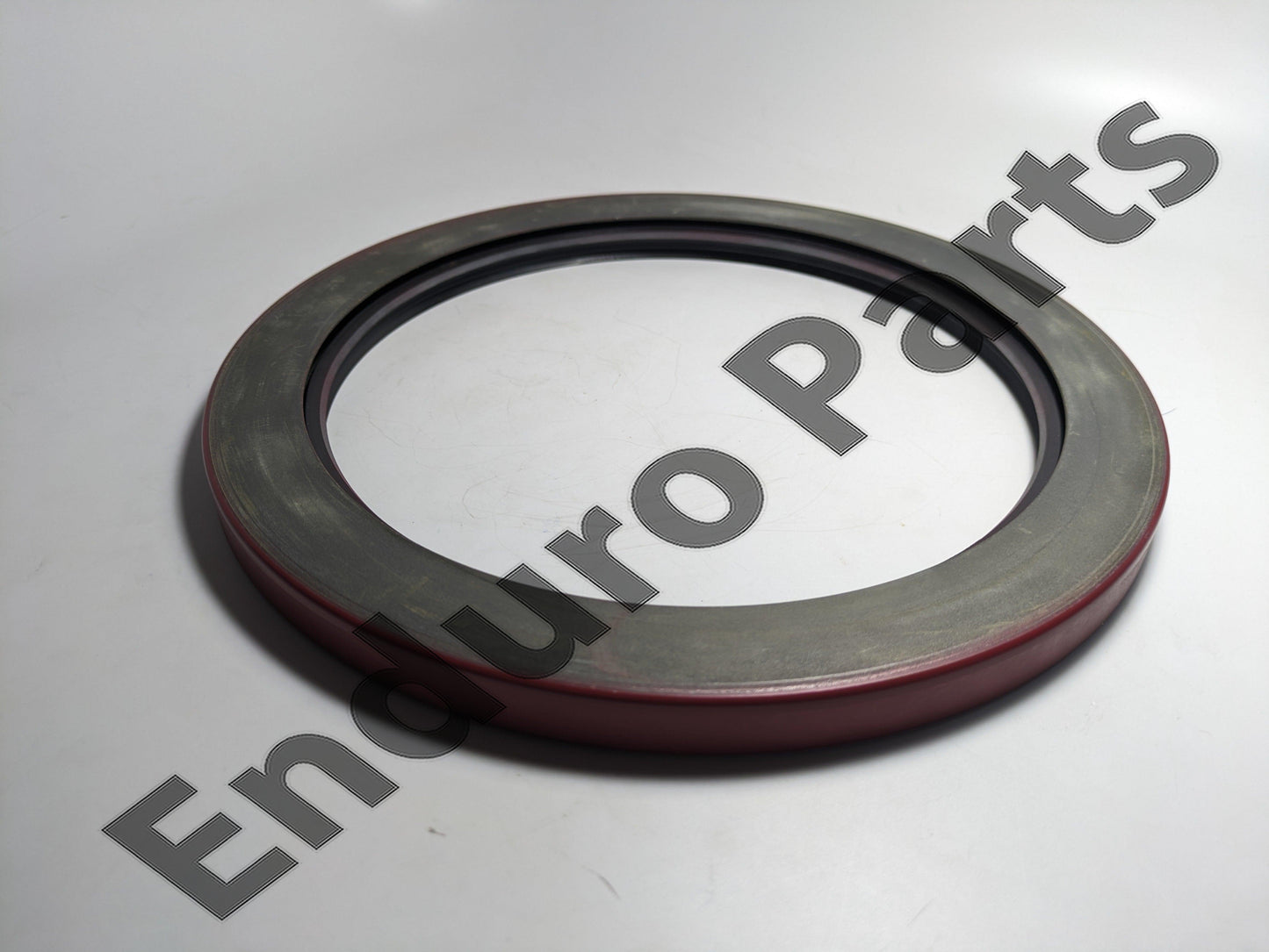 Euclid 4006259 Seal